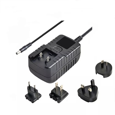 24W interchangeable power adapter