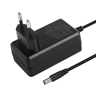 24W EU power adapter